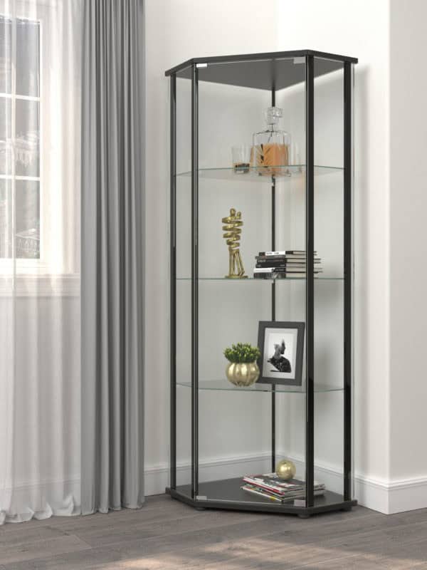 Glass Shelf Curio Cabinet